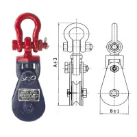 02. Heavy Duty Snatch Block with Shackle